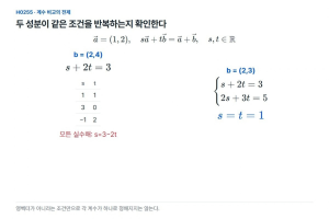 영벡터가 아닌 두 벡터, 계수도 각각 비교할 수 있을까